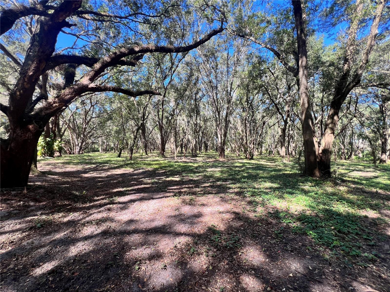 Image 24 of 28 For 14609 155th Street