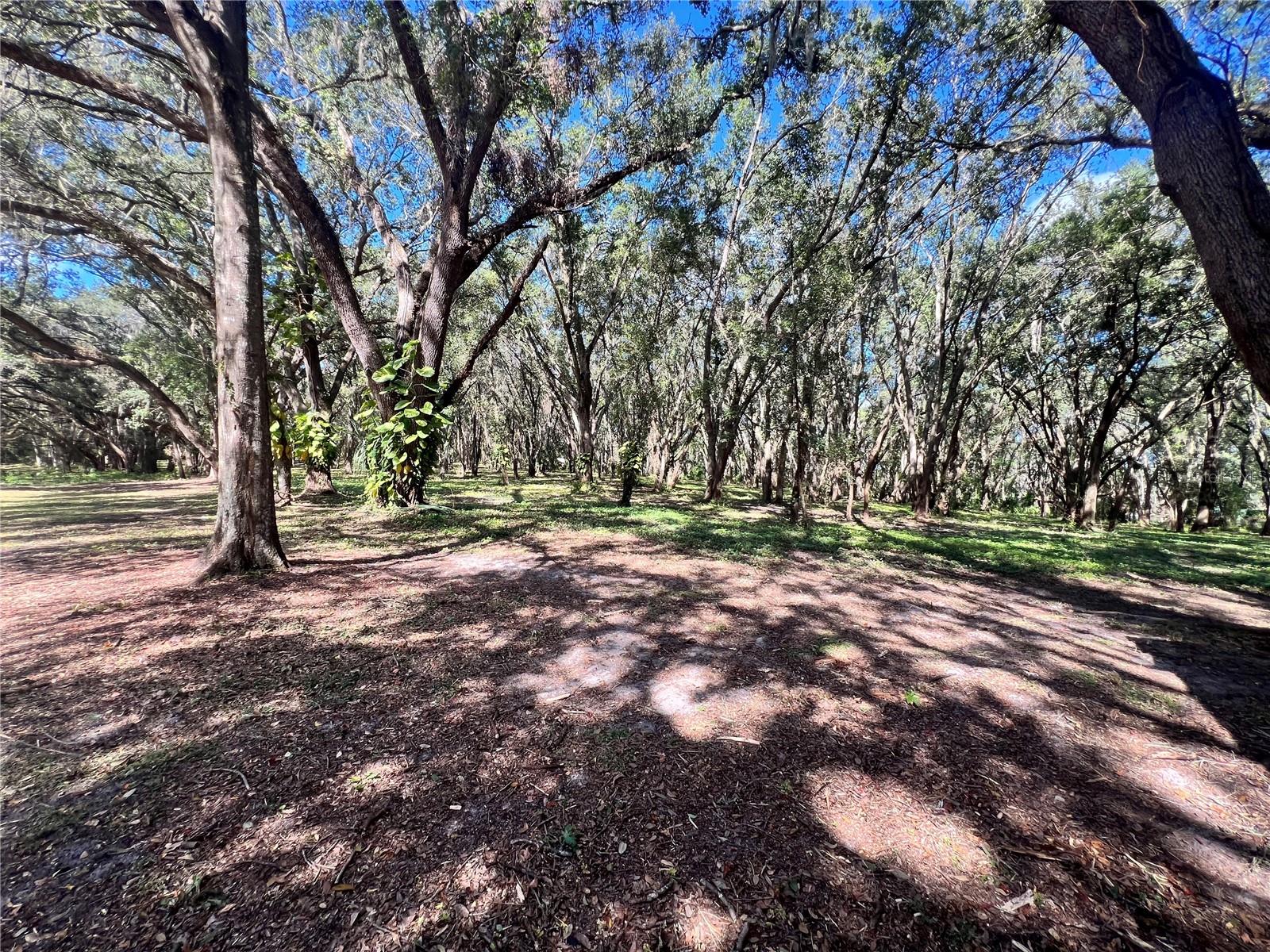 Image 25 of 28 For 14609 155th Street