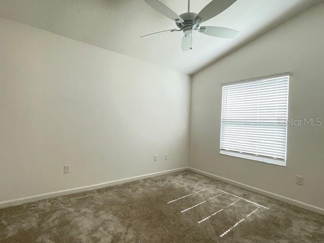 Image 15 of 20 For 1904 Groesser