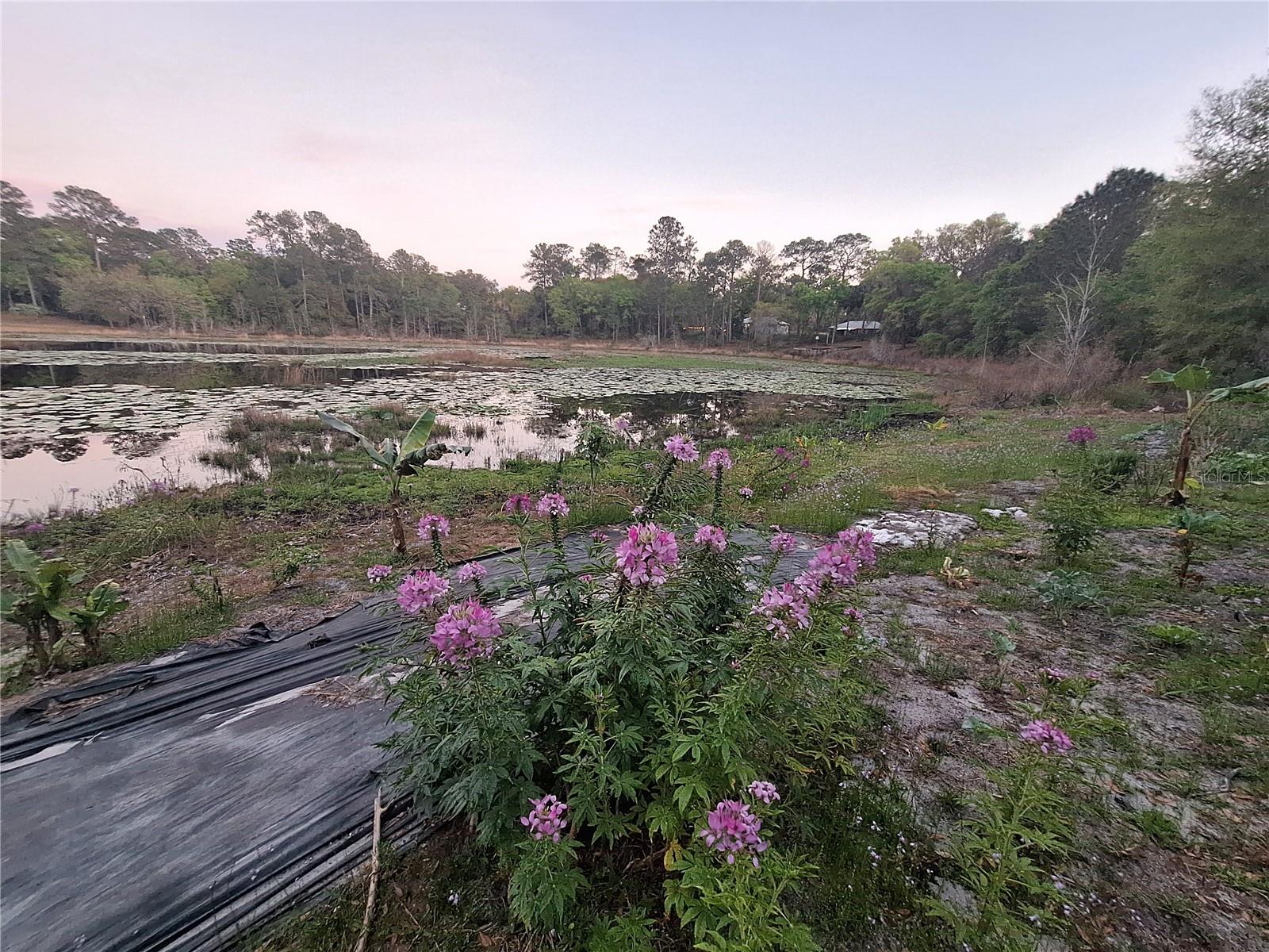 Image 26 of 33 For 5841 164th Avenue