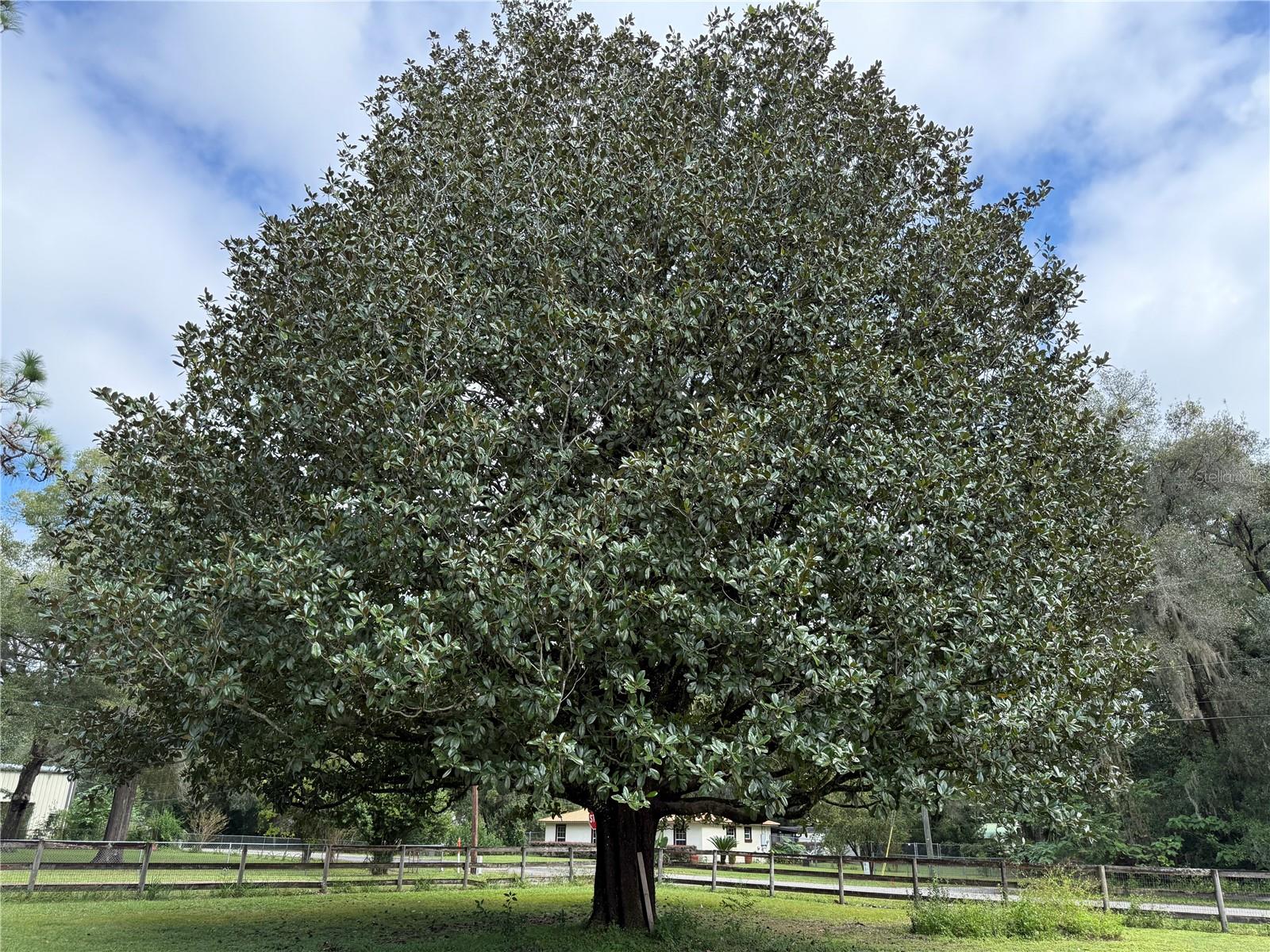 Image 27 of 40 For 1328 36th Street