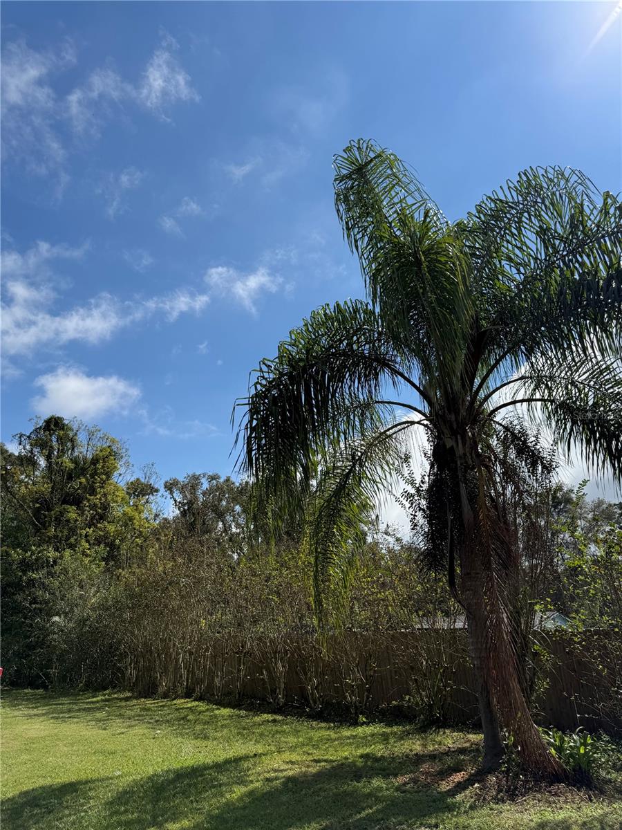 Image 33 of 40 For 1328 36th Street