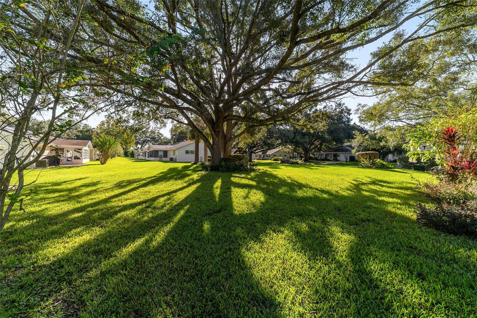 Image 33 of 34 For 8848 96th Lane B