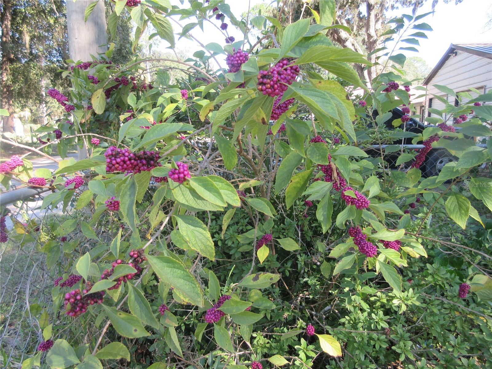 Image 21 of 87 For 11570 19th Street