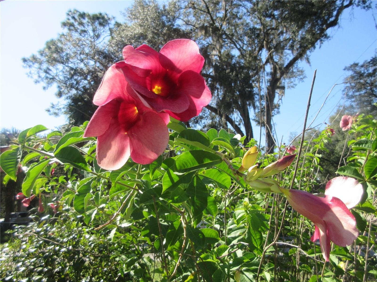 Image 24 of 87 For 11570 19th Street