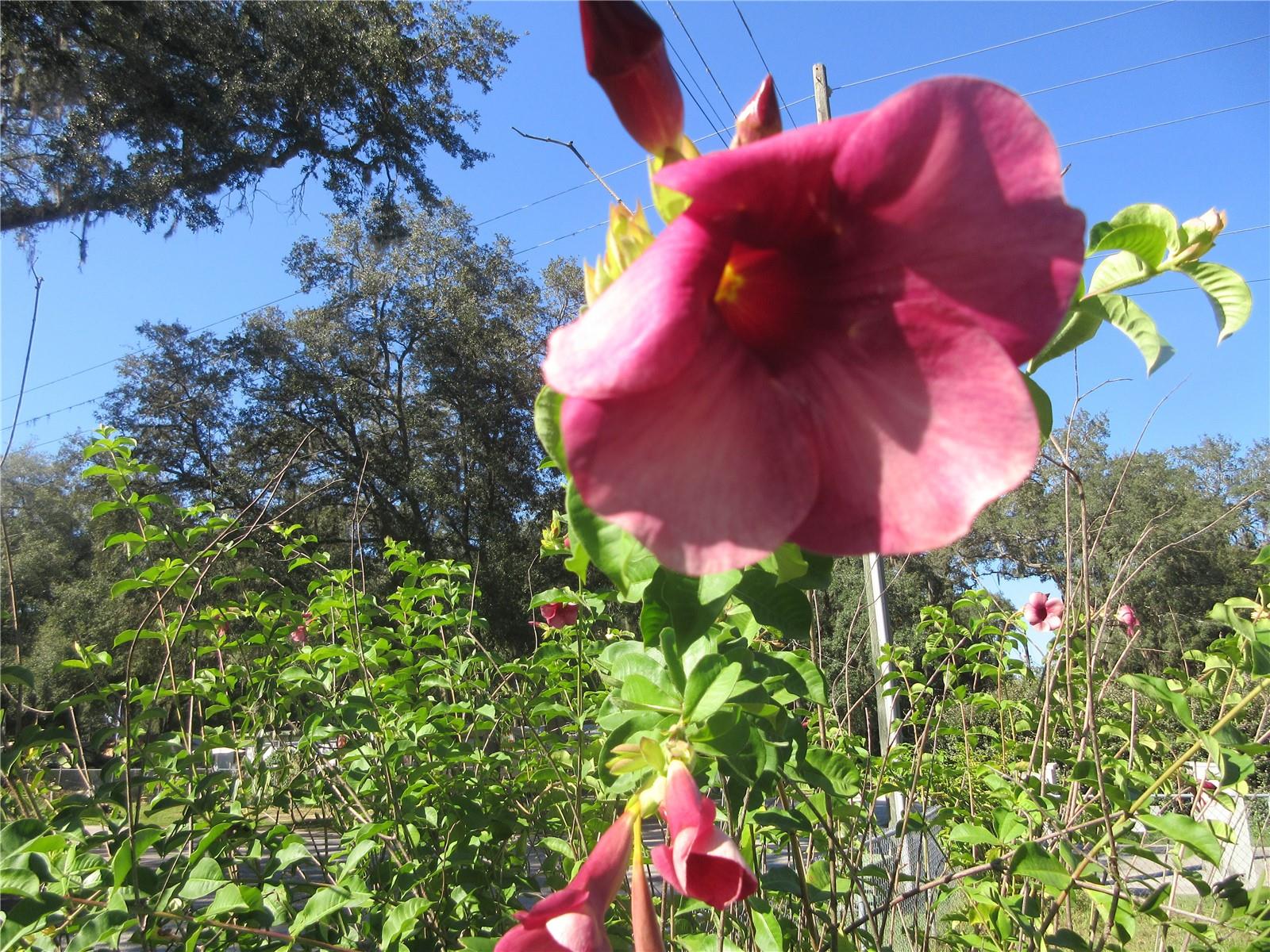 Image 25 of 87 For 11570 19th Street