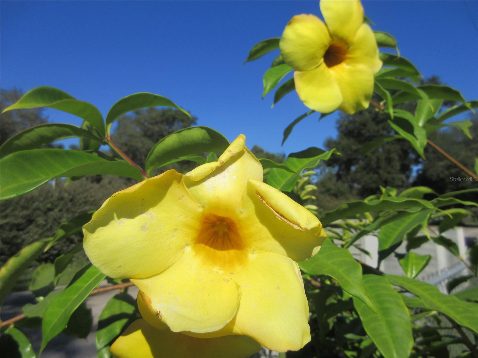 Image 26 of 87 For 11570 19th Street