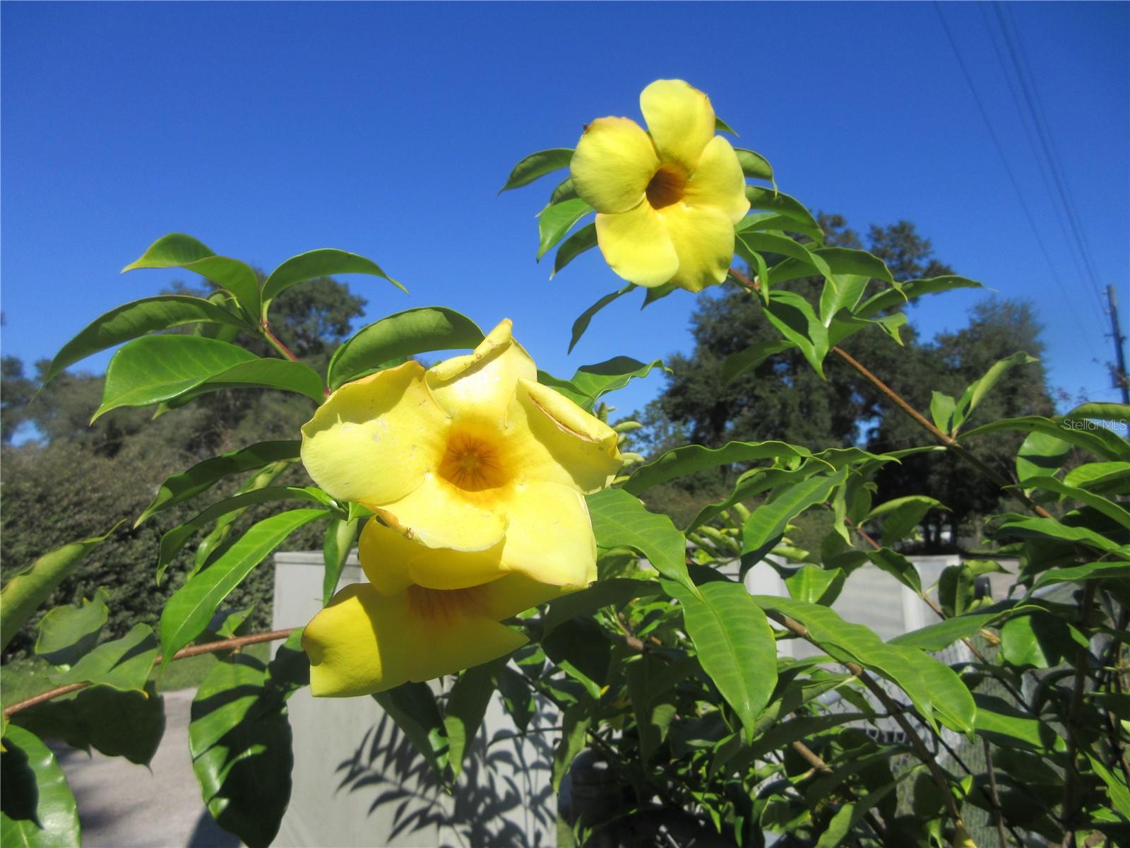 Image 27 of 87 For 11570 19th Street