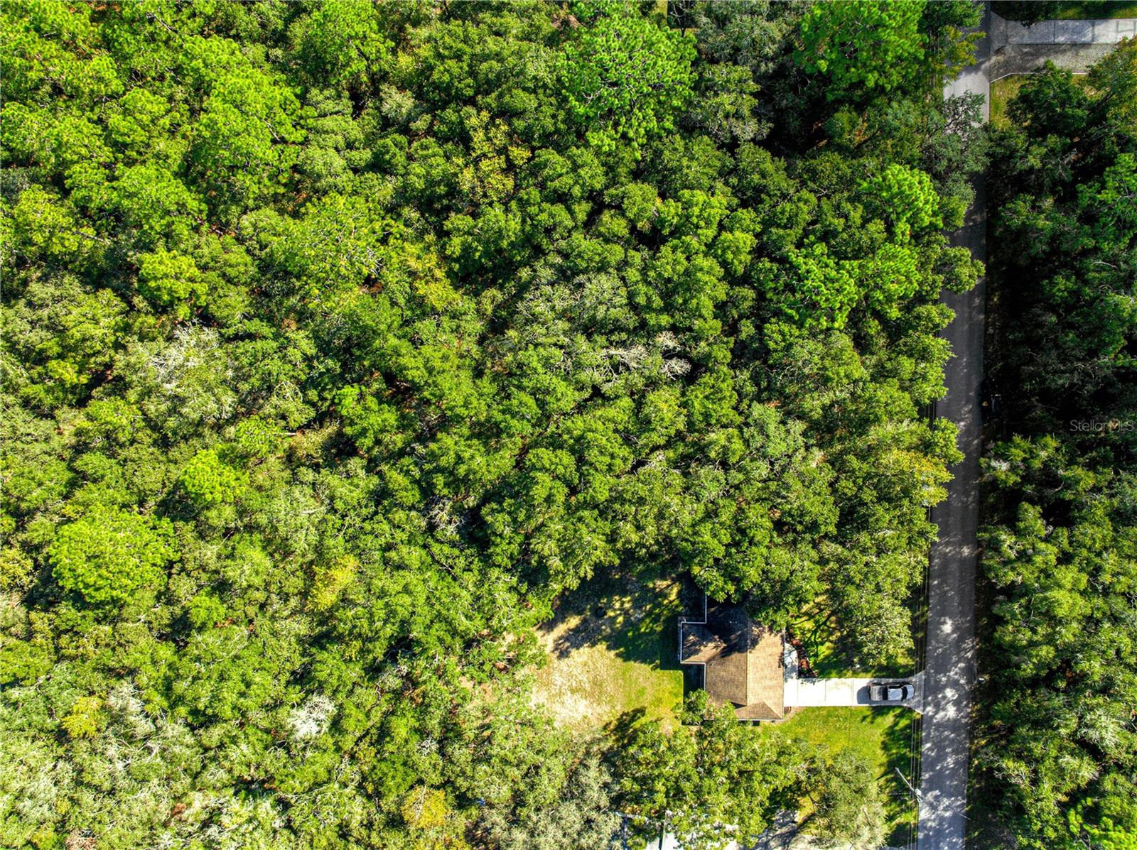 Image 51 of 53 For 1155 Bismark Street