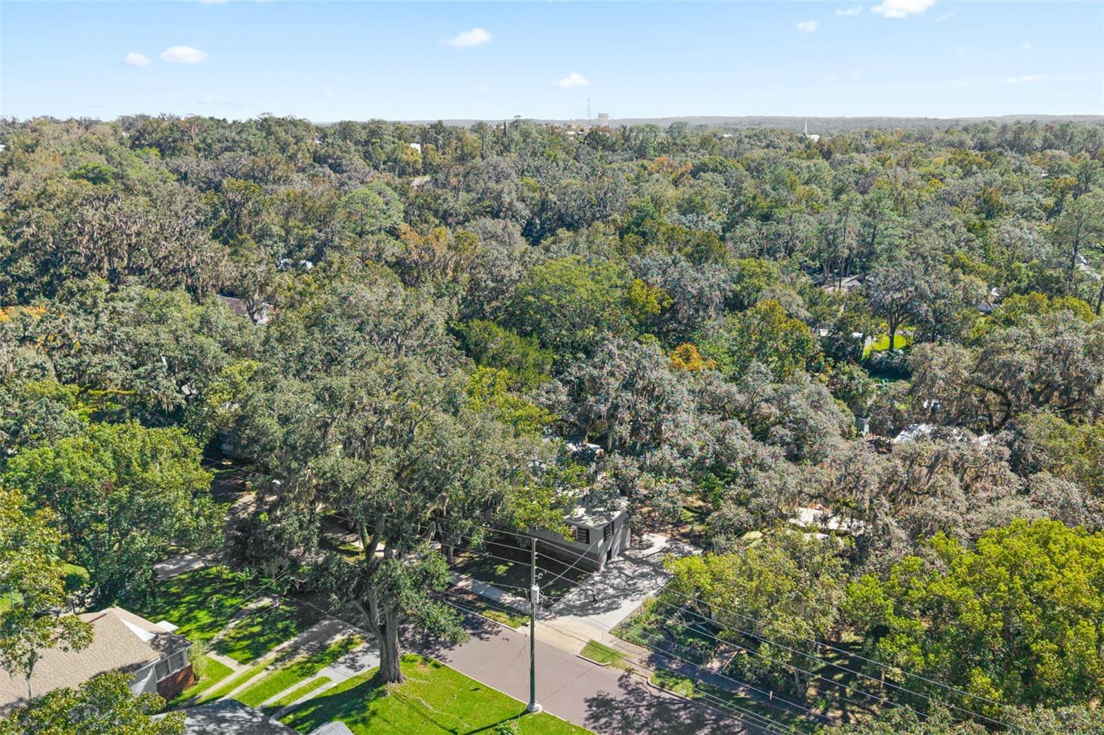 Image 49 of 52 For 317 Highland Street