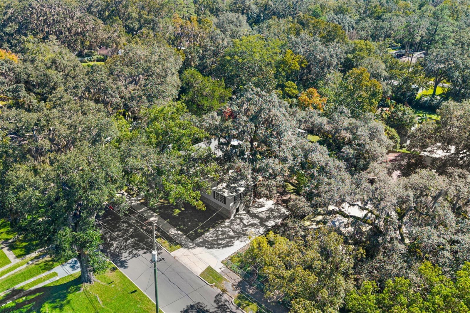 Image 50 of 52 For 317 Highland Street