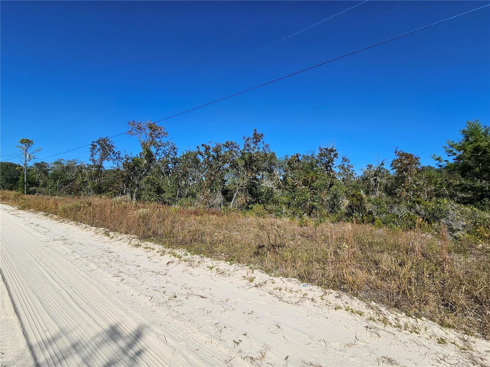 Listing Details for Tbd 66th Lane, WILLISTON, FL 32696