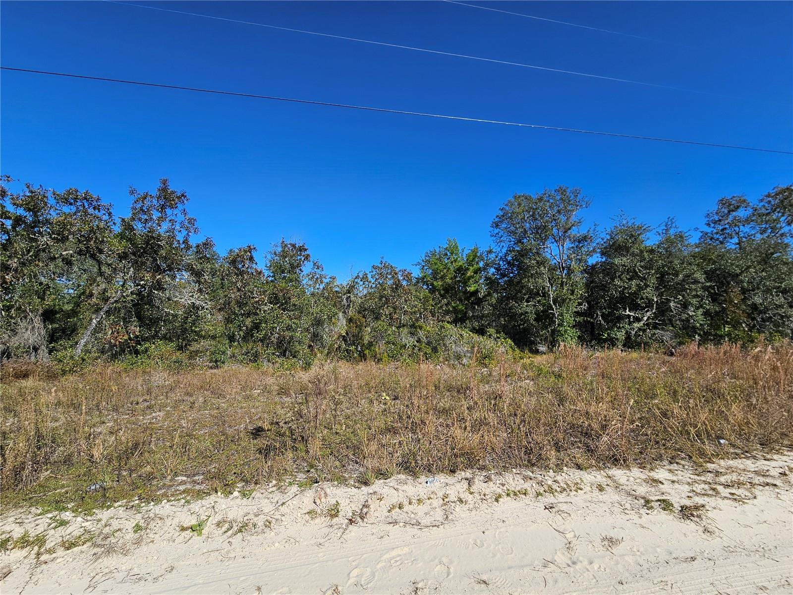 Image 3 of 5 For Tbd 66th Lane