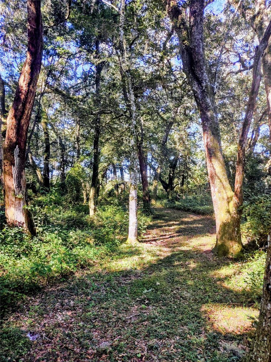 Image 12 of 14 For 1590 182nd Terrace