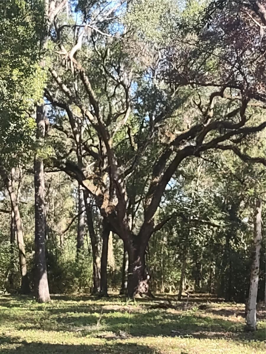 Image 14 of 14 For 1590 182nd Terrace