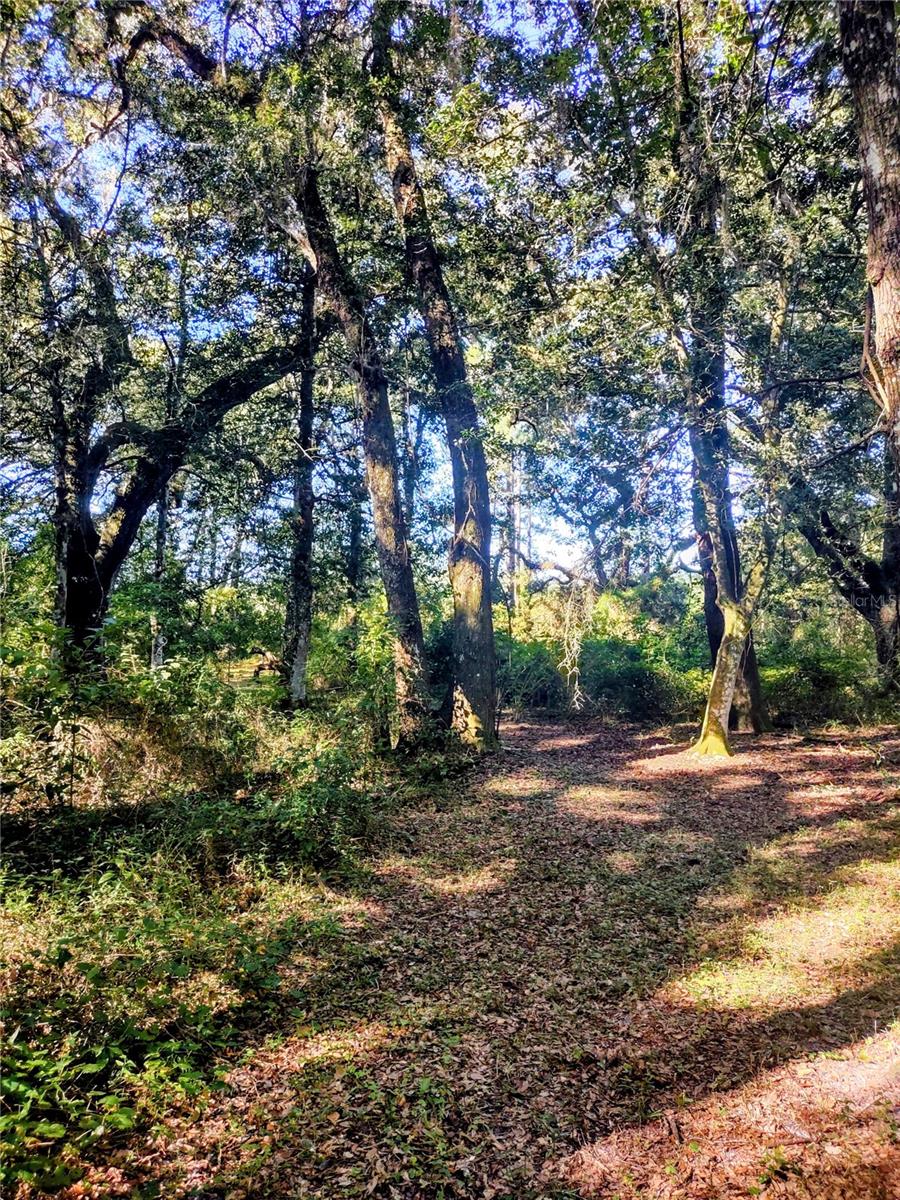 Image 8 of 14 For 1590 182nd Terrace