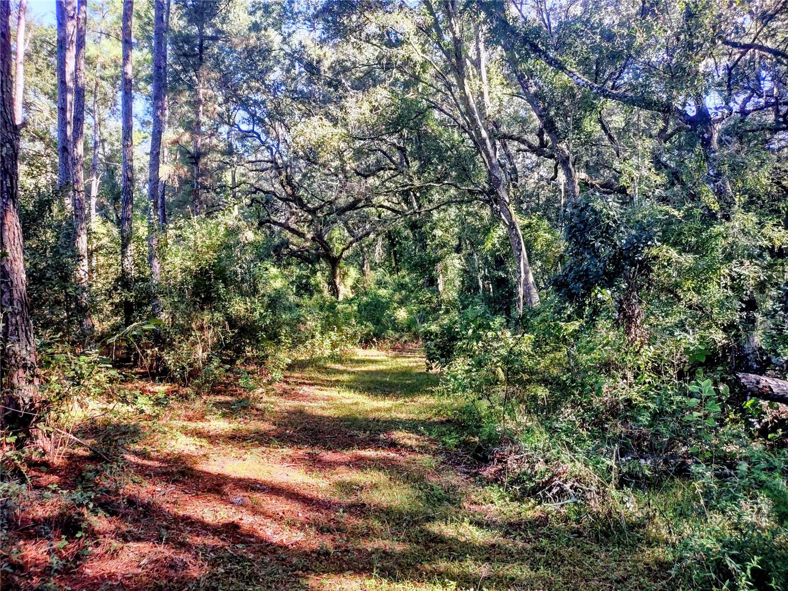 Image 9 of 14 For 1590 182nd Terrace