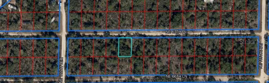 Details for Ne 67th Place #5, WILLISTON, FL 32696