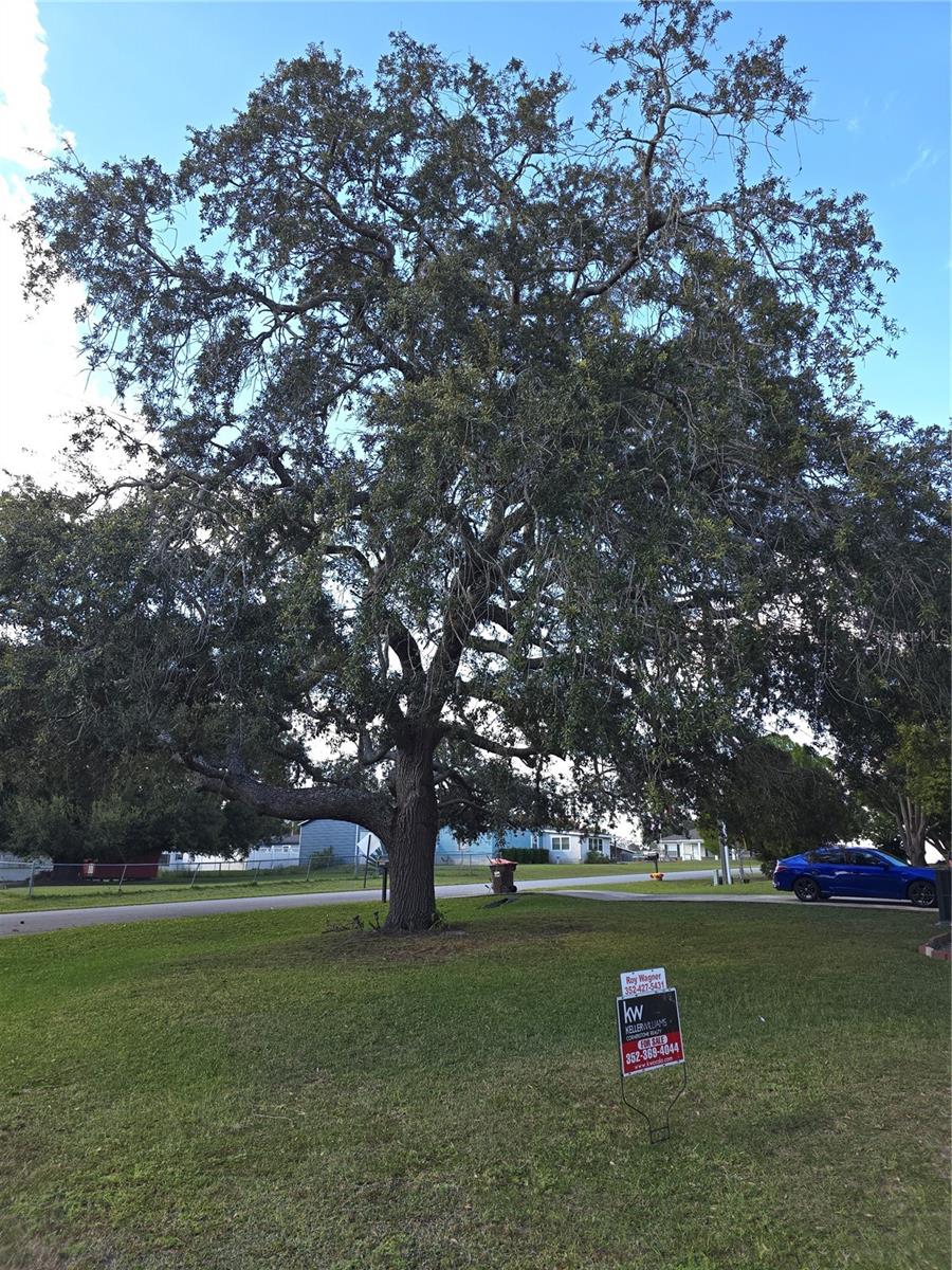 Image 4 of 19 For 12667 101st Court