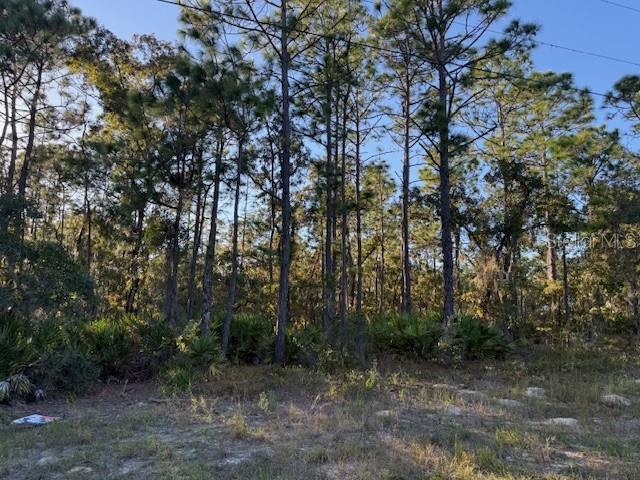 Details for 2862 Stampede Drive, BEVERLY HILLS, FL 34465