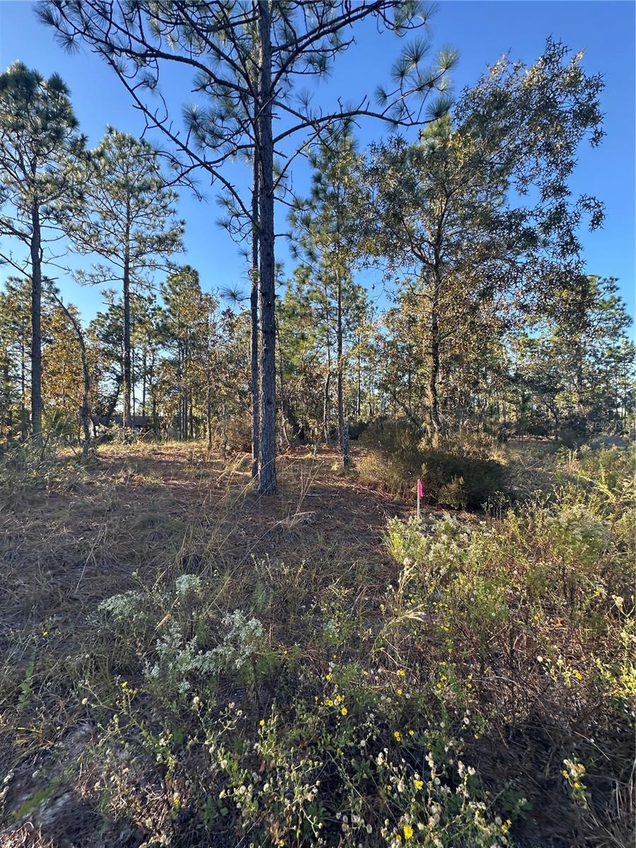 Image 10 of 14 For Ne 150th Court #8