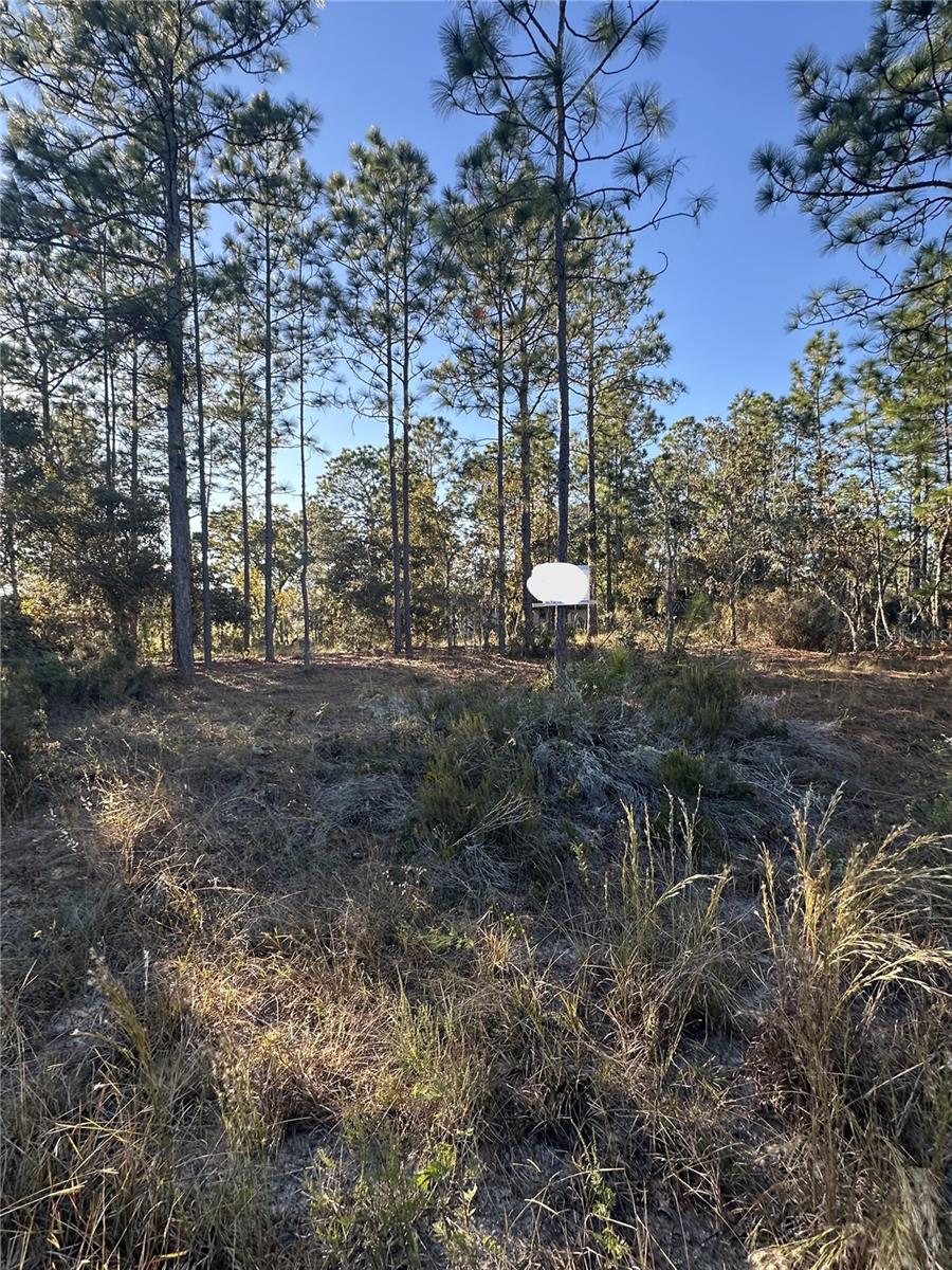 Image 3 of 14 For Ne 150th Court #8