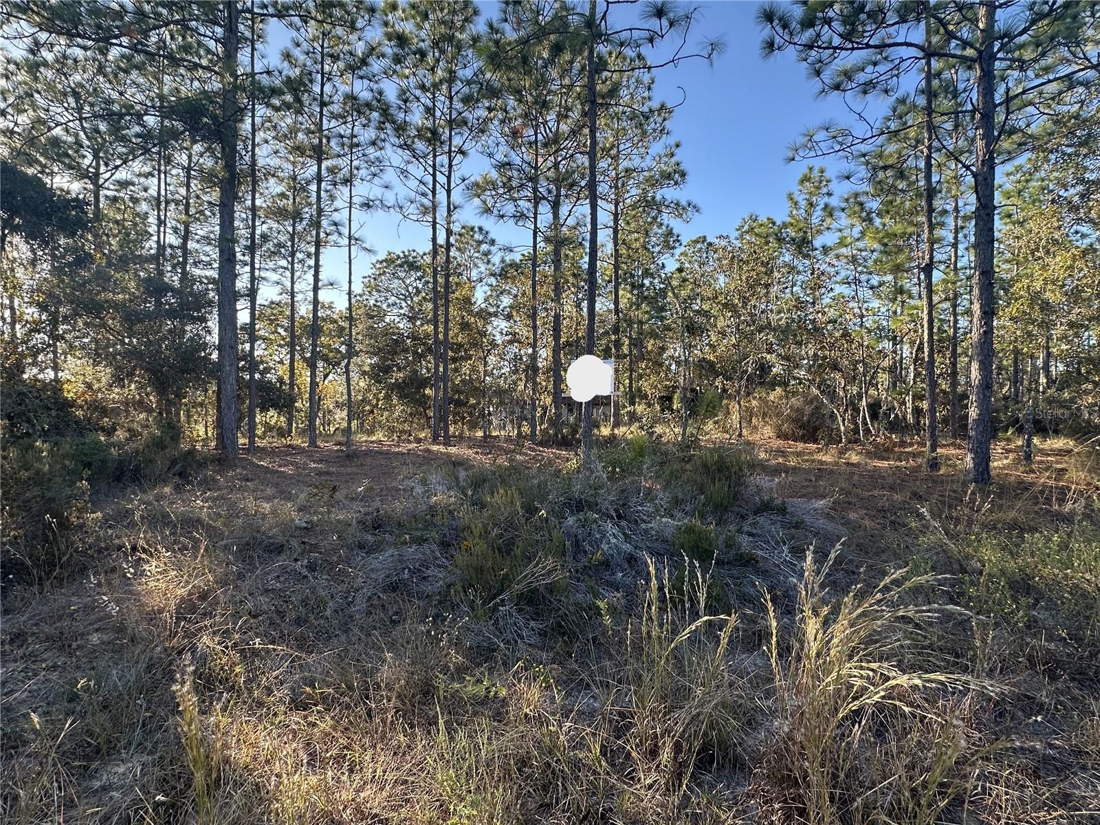 Image 4 of 14 For Ne 150th Court #8