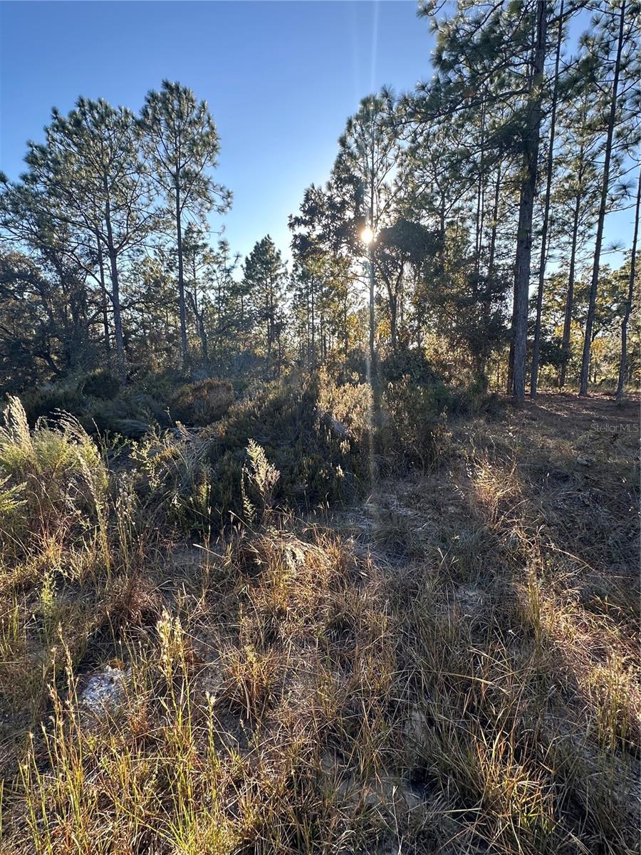 Image 5 of 14 For Ne 150th Court #8