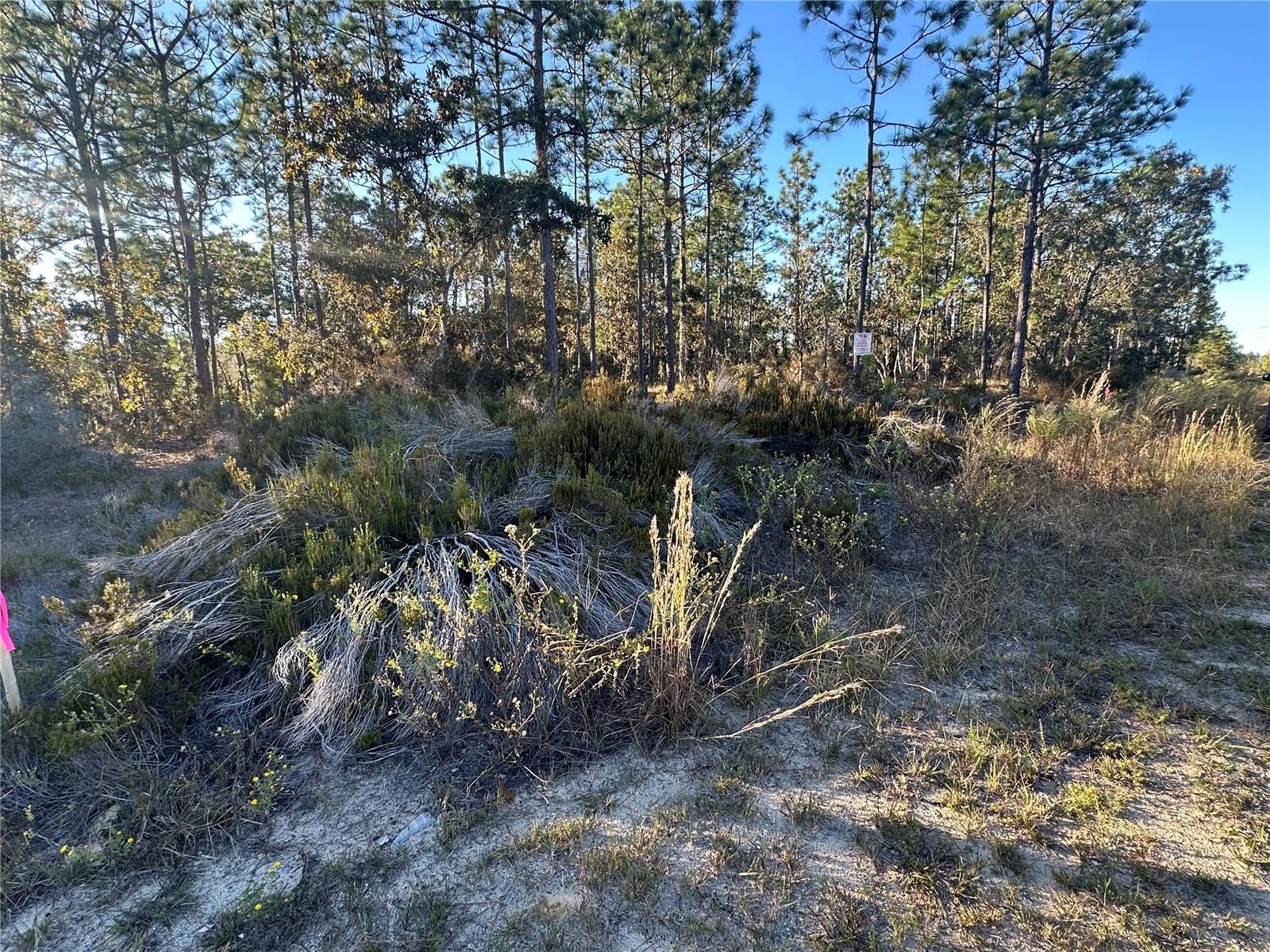 Image 7 of 14 For Ne 150th Court #8