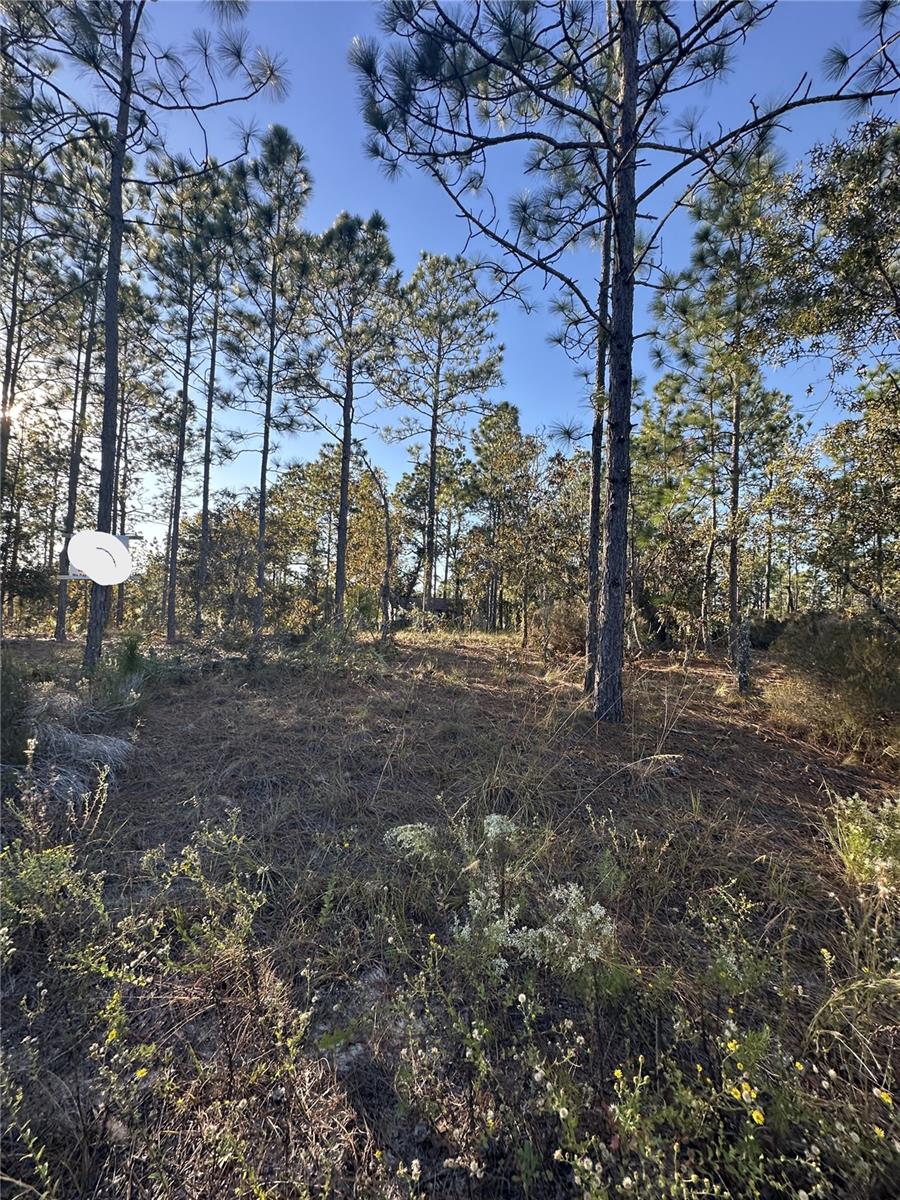 Image 9 of 14 For Ne 150th Court #8