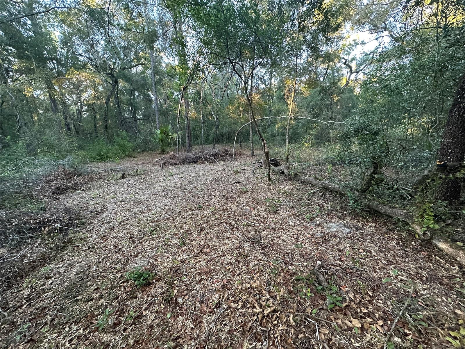 Image 10 of 10 For Ne 10 Place #7