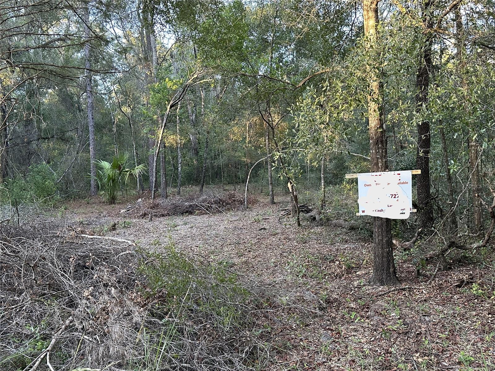 Image 3 of 10 For Ne 10 Place #7