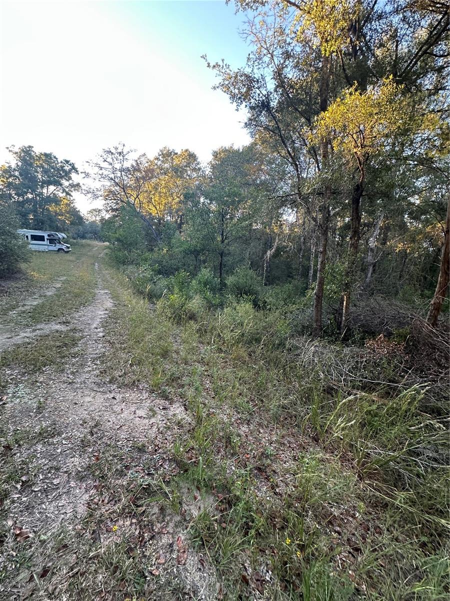 Image 4 of 10 For Ne 10 Place #7