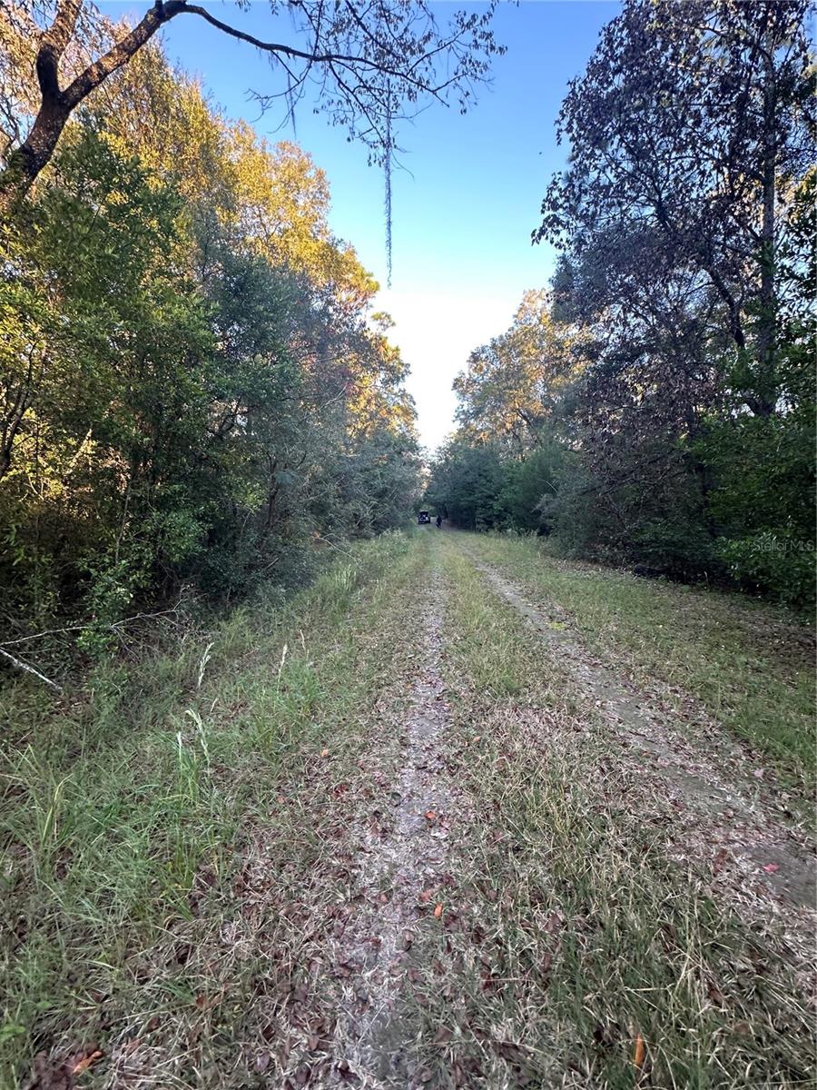 Image 5 of 10 For Ne 10 Place #7