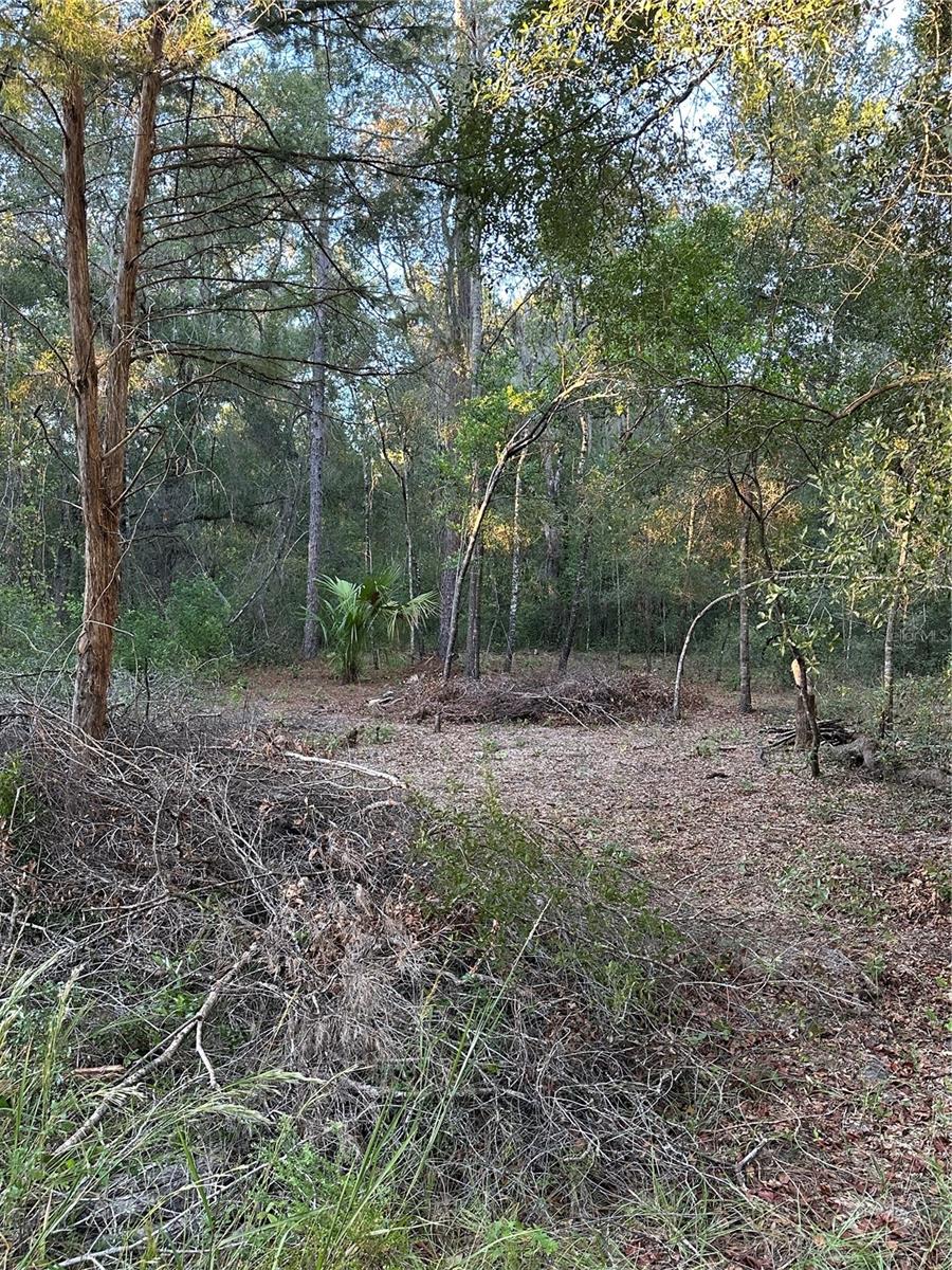 Image 6 of 10 For Ne 10 Place #7