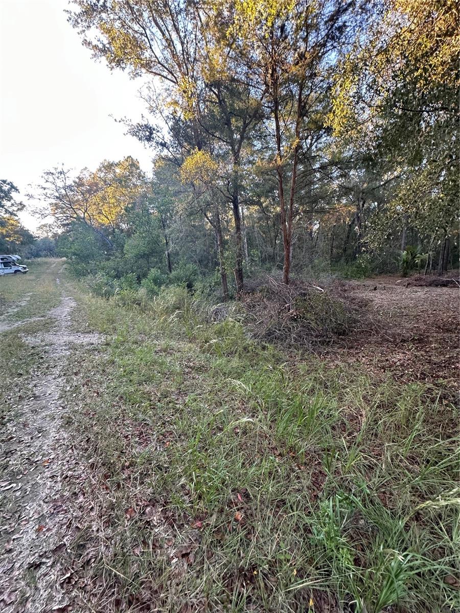 Image 8 of 10 For Ne 10 Place #7