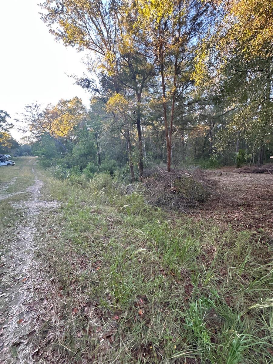 Image 9 of 10 For Ne 10 Place #7