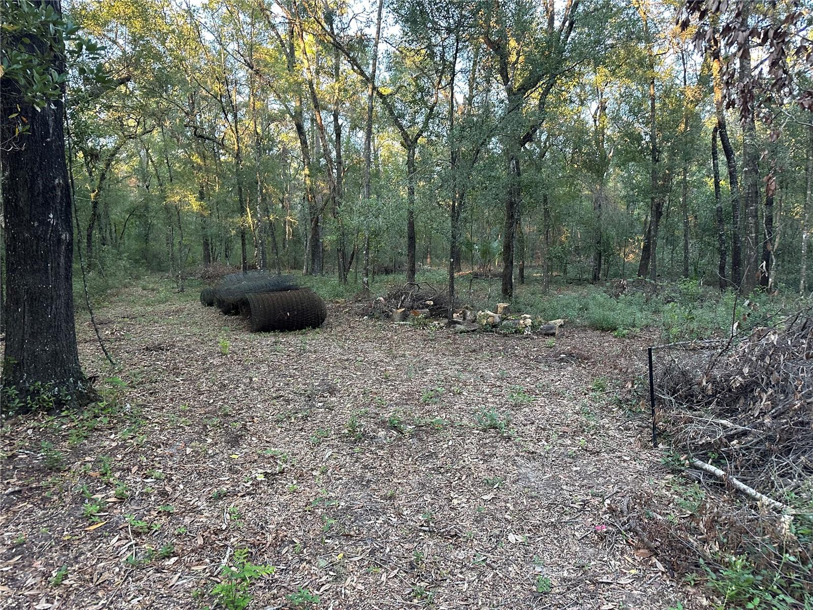 Image 4 of 8 For Ne 10th Place #4