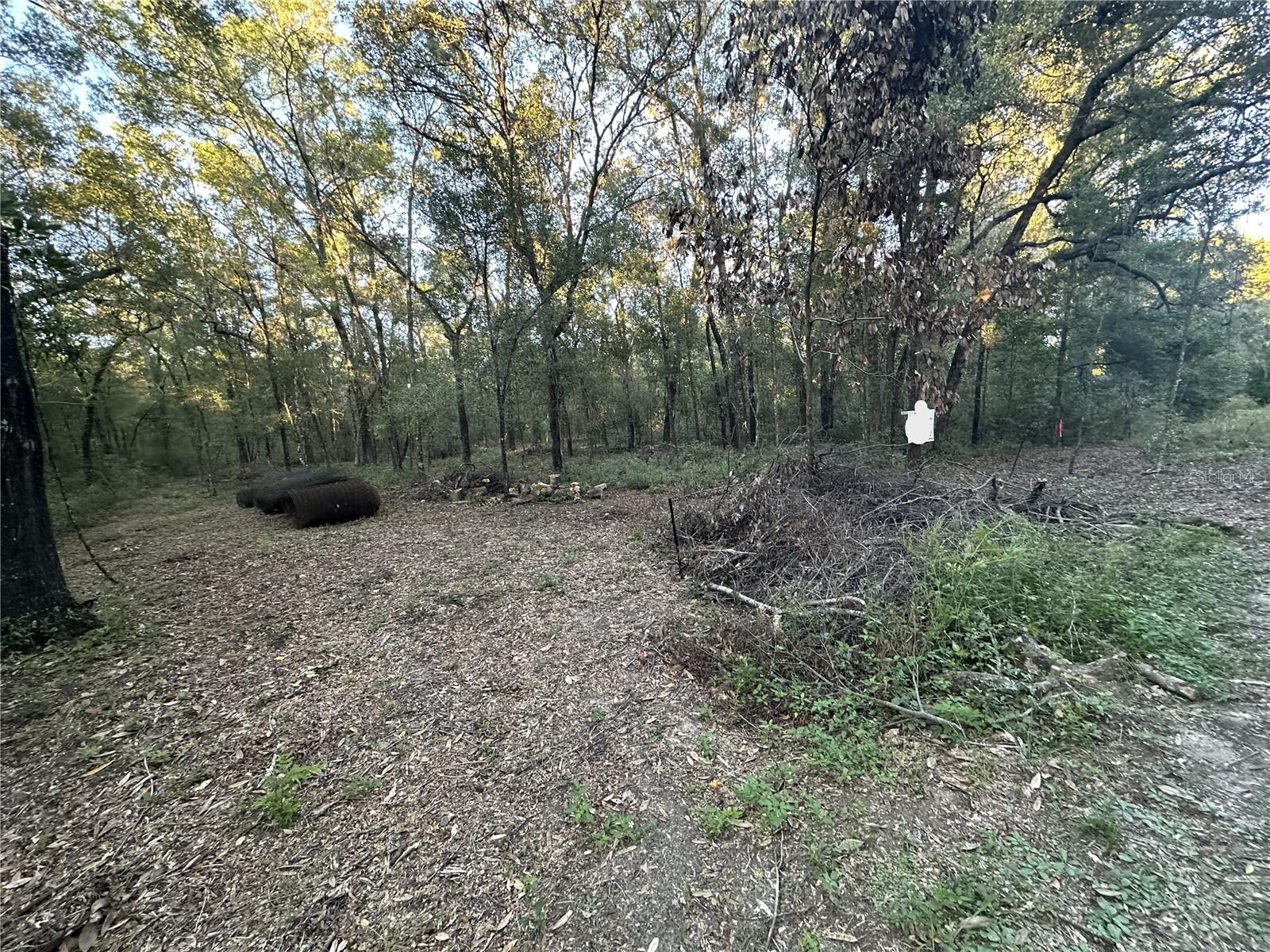 Image 5 of 8 For Ne 10th Place #4