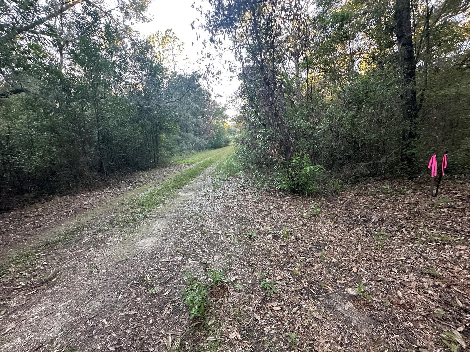 Image 6 of 8 For Ne 10th Place #4