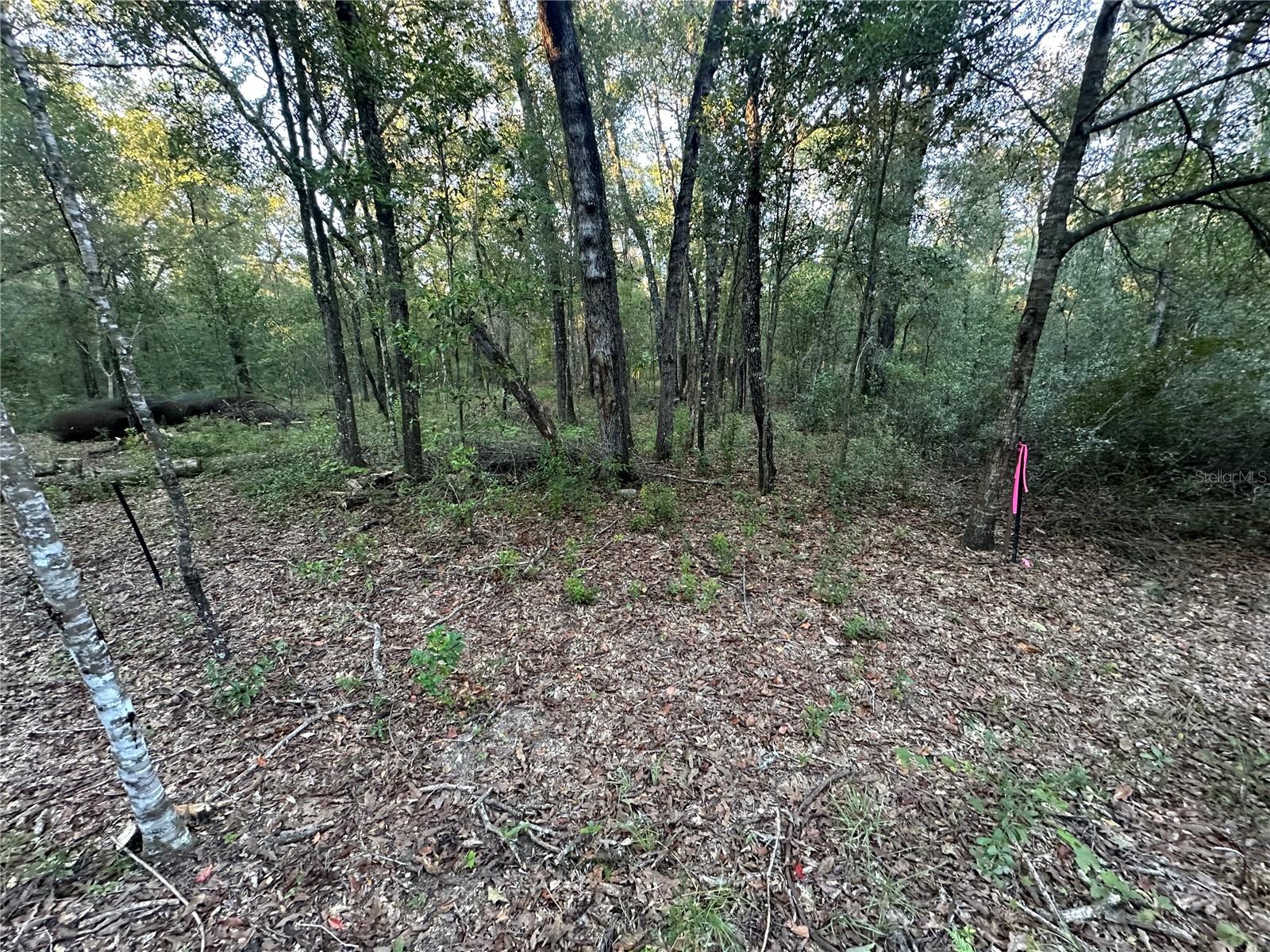 Image 8 of 8 For Ne 10th Place #4