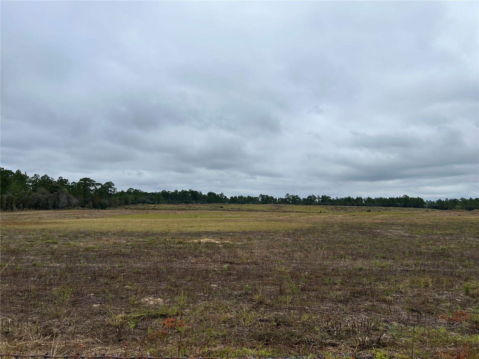 Details for 14231 80th Street, MORRISTON, FL 32668