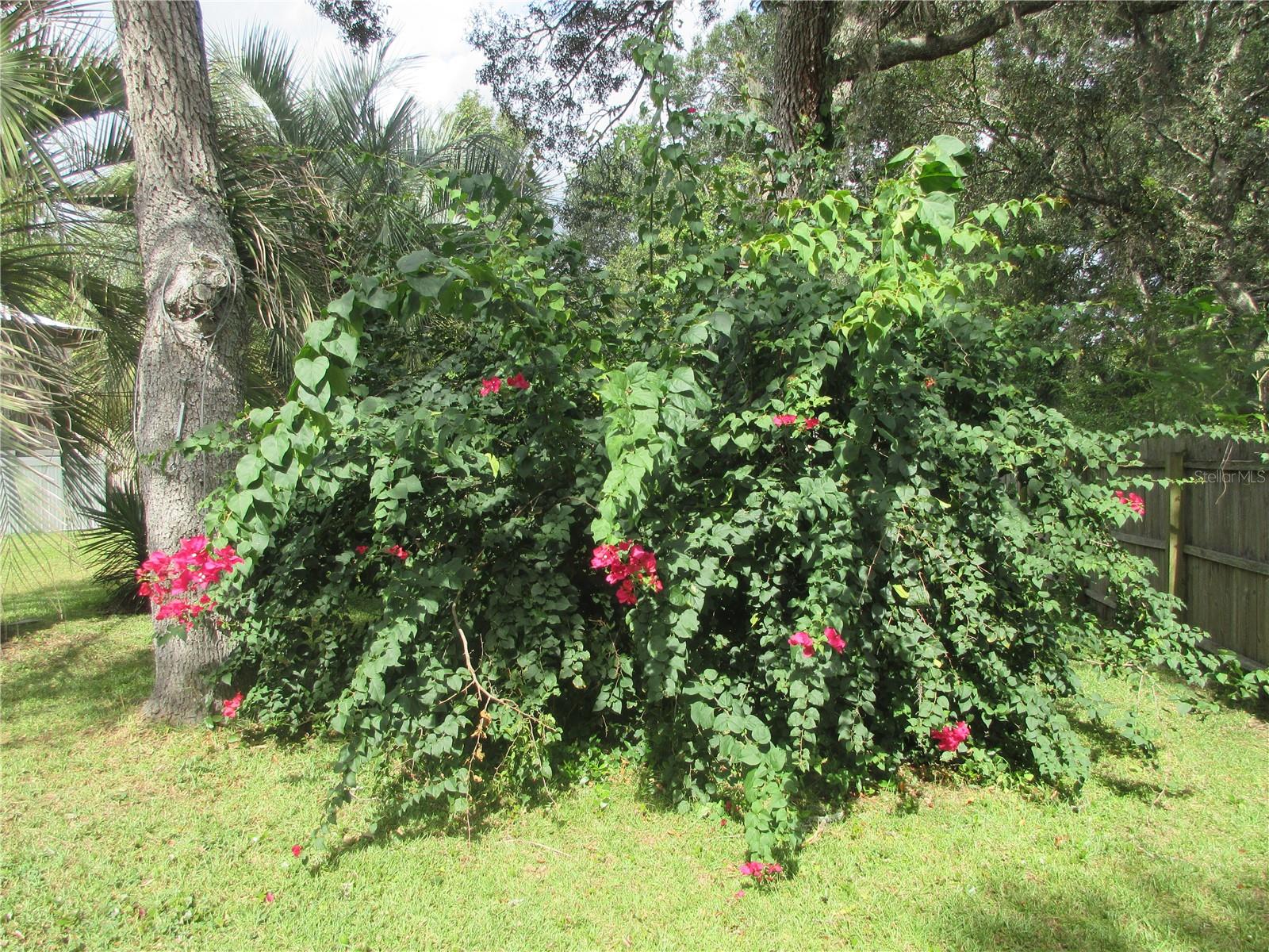 Image 12 of 77 For 5515 182nd Terrace