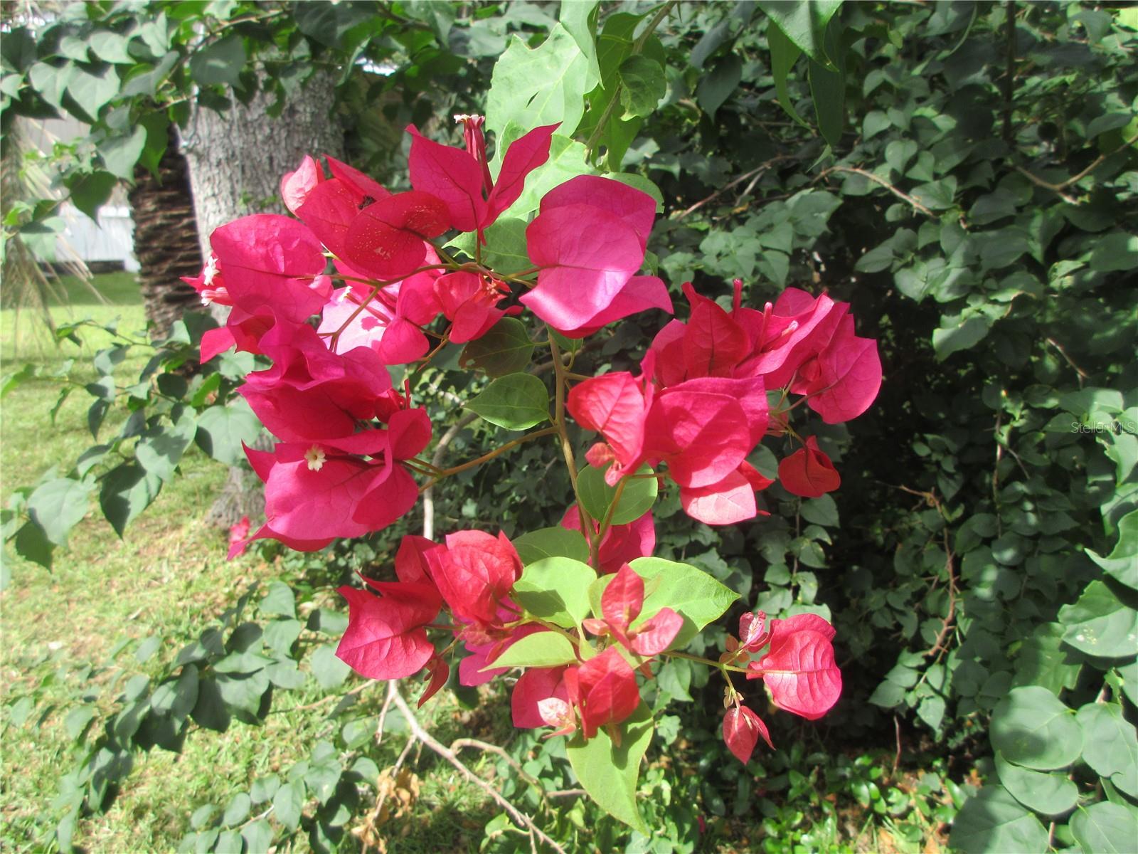 Image 13 of 77 For 5515 182nd Terrace