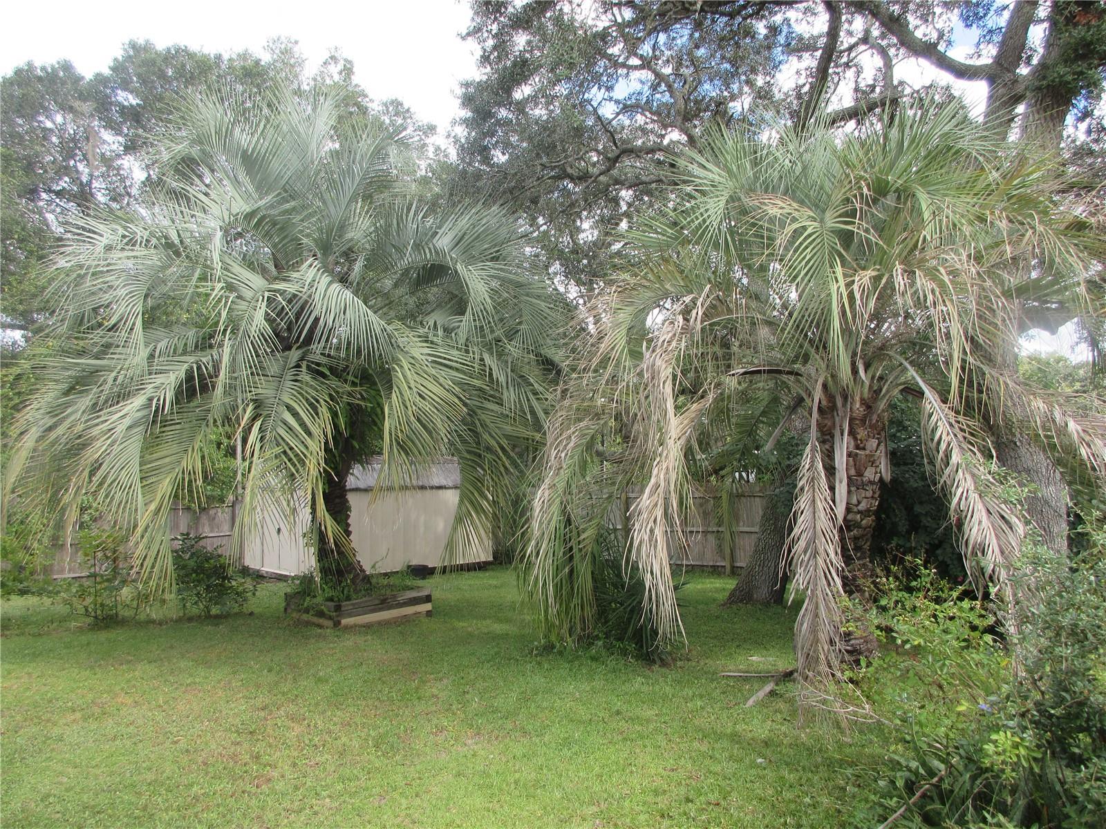 Image 14 of 77 For 5515 182nd Terrace