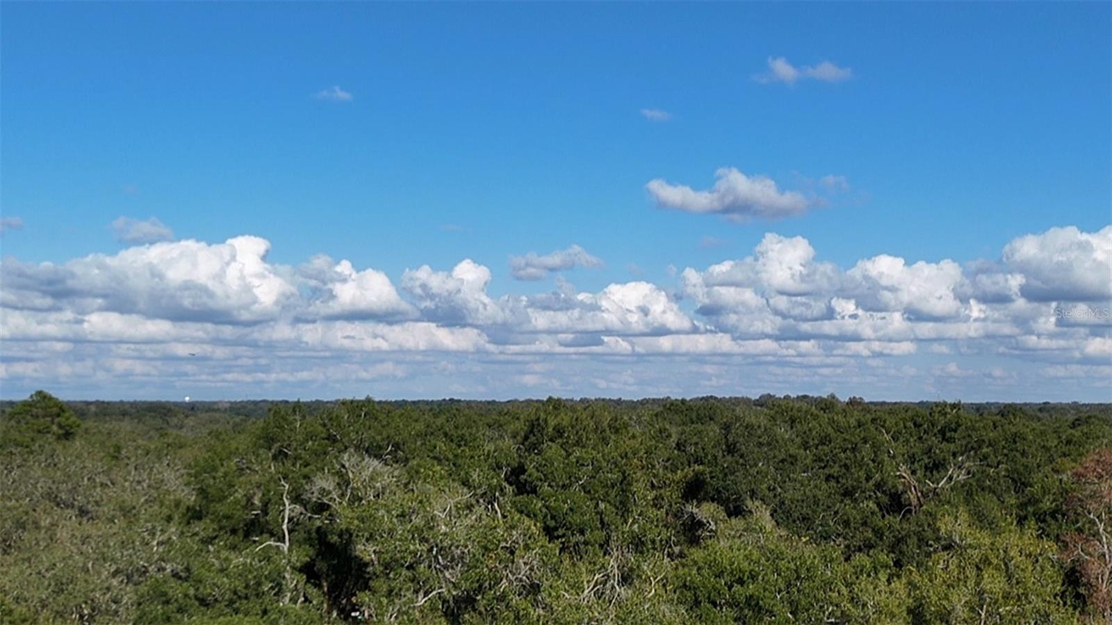 Image 15 of 17 For 8735 Cr 631a