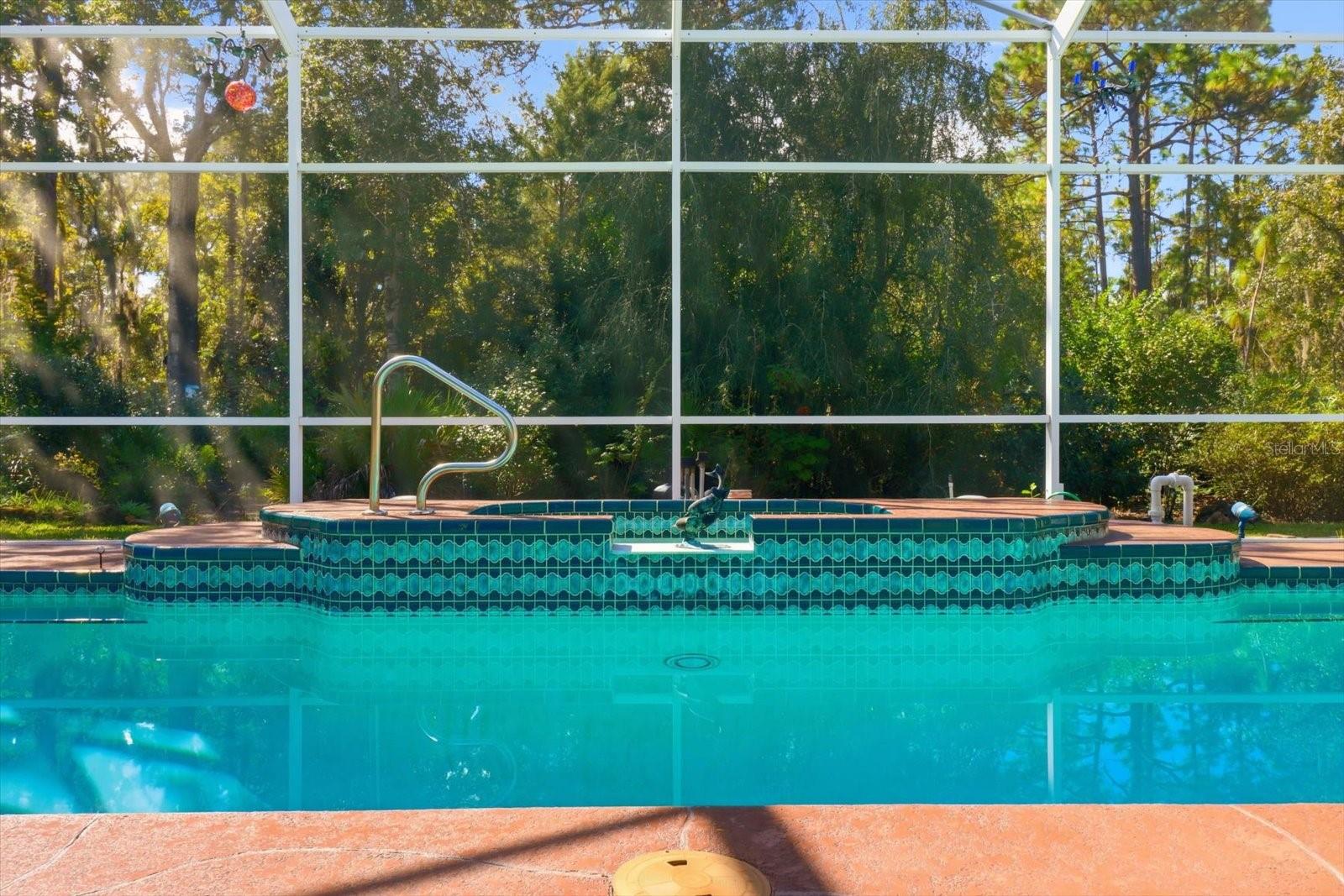 Image 2 of 48 For 24 Livingstone Daisy Court 12