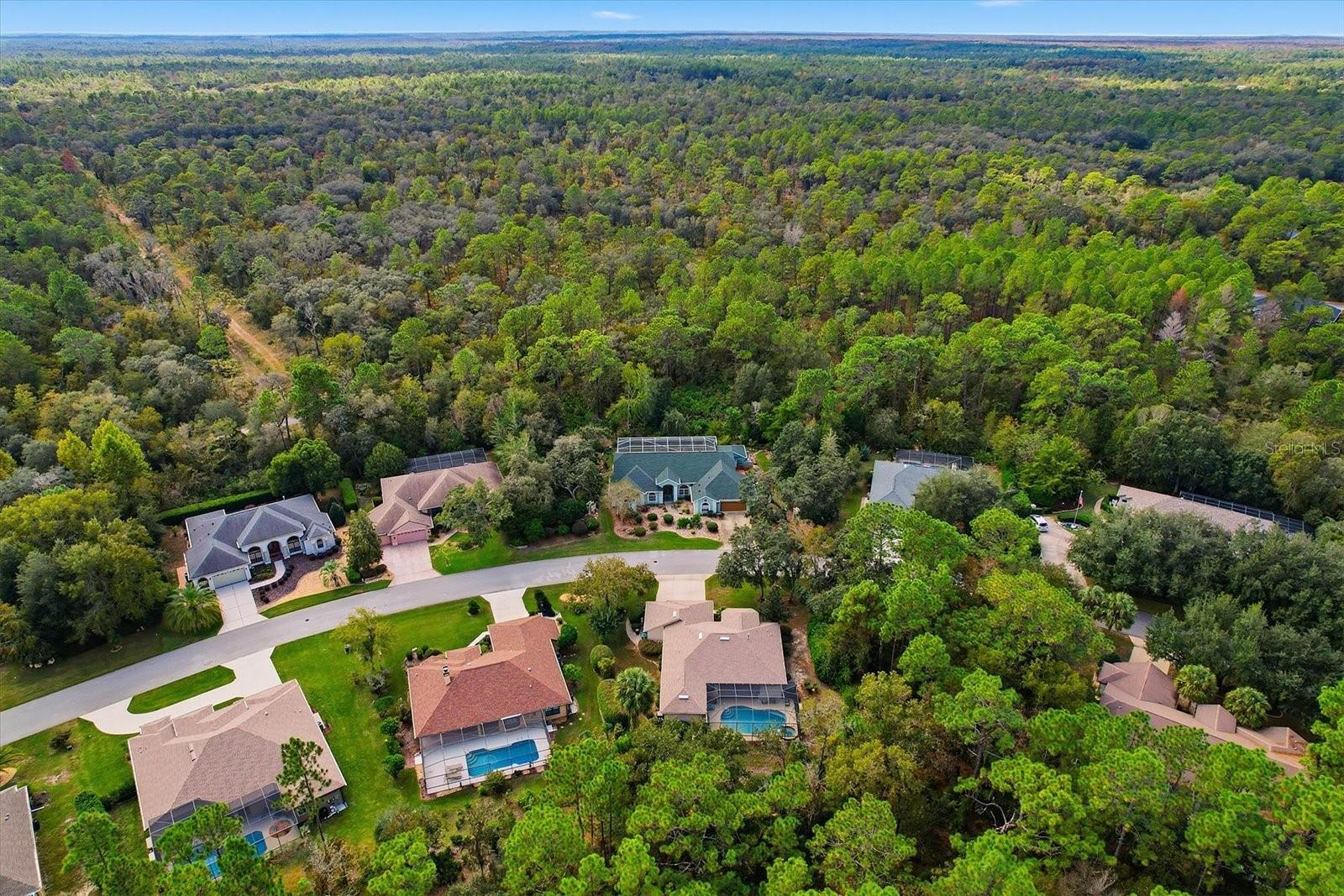 Image 46 of 48 For 24 Livingstone Daisy Court 12