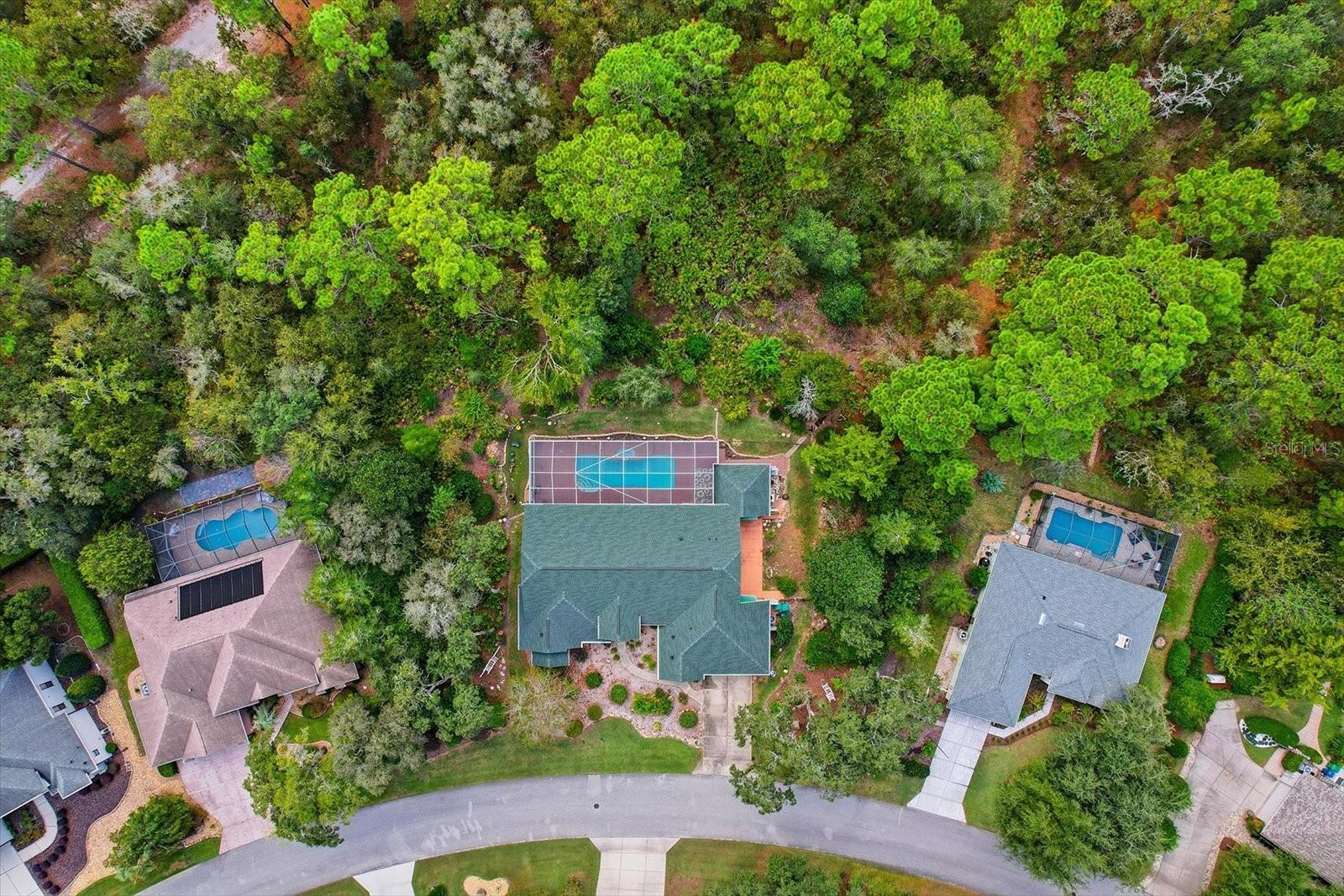 Image 47 of 48 For 24 Livingstone Daisy Court 12