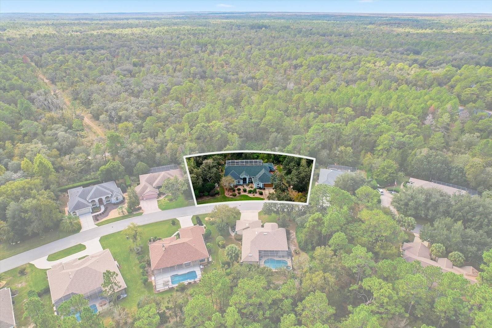 Image 7 of 48 For 24 Livingstone Daisy Court 12